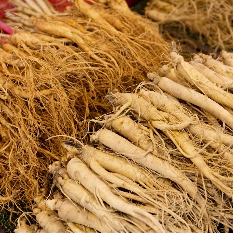 American Ginseng: Male Fertility Tonic